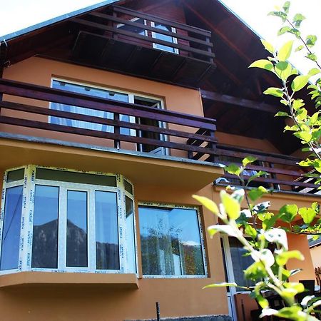 Casa Ddm Daniel Hotel Busteni Ngoại thất bức ảnh