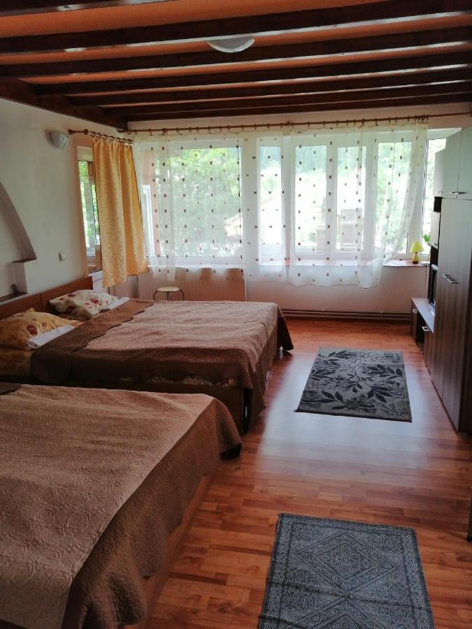 Casa Ddm Daniel Hotel Busteni Ngoại thất bức ảnh