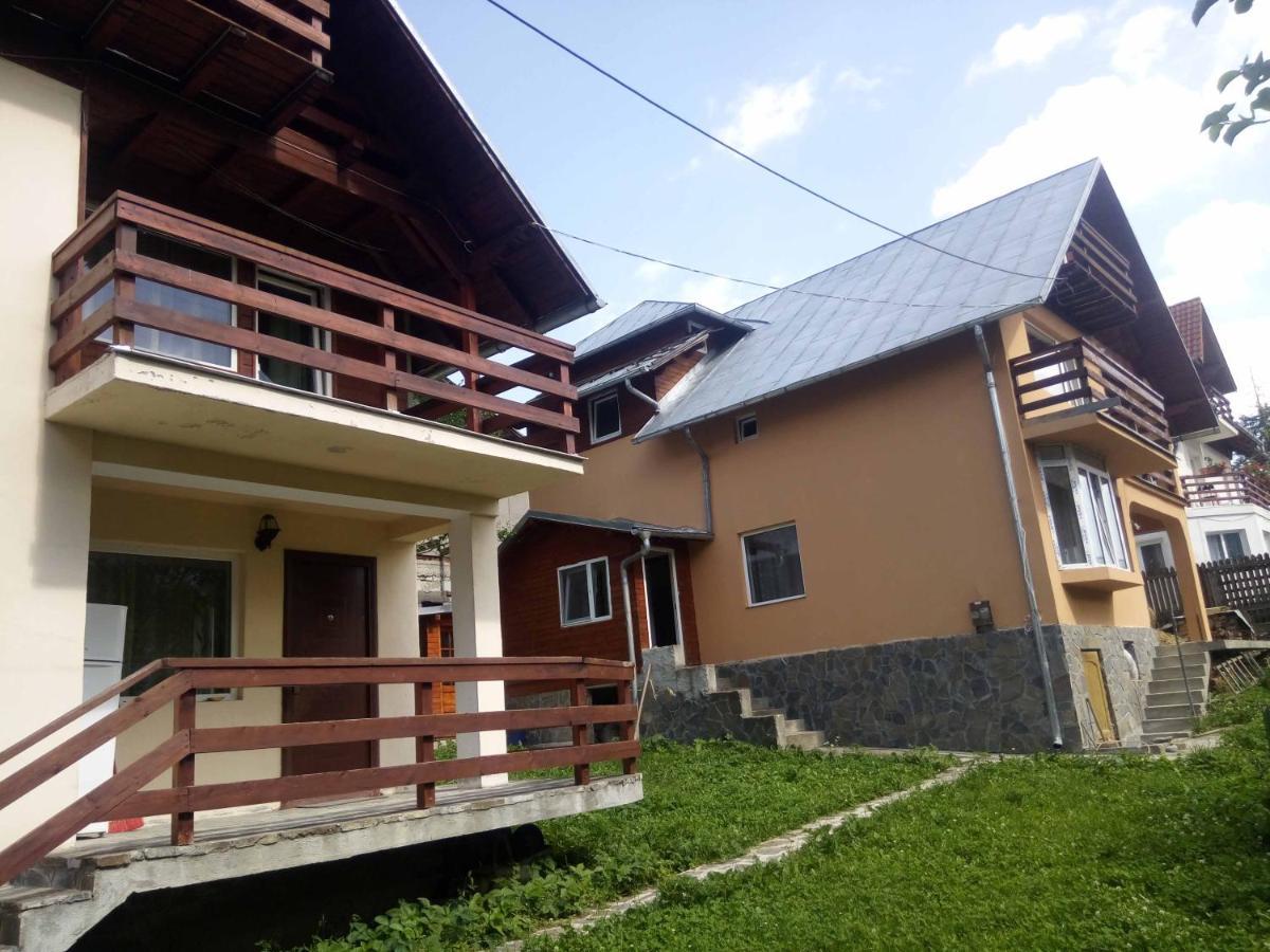 Casa Ddm Daniel Hotel Busteni Ngoại thất bức ảnh