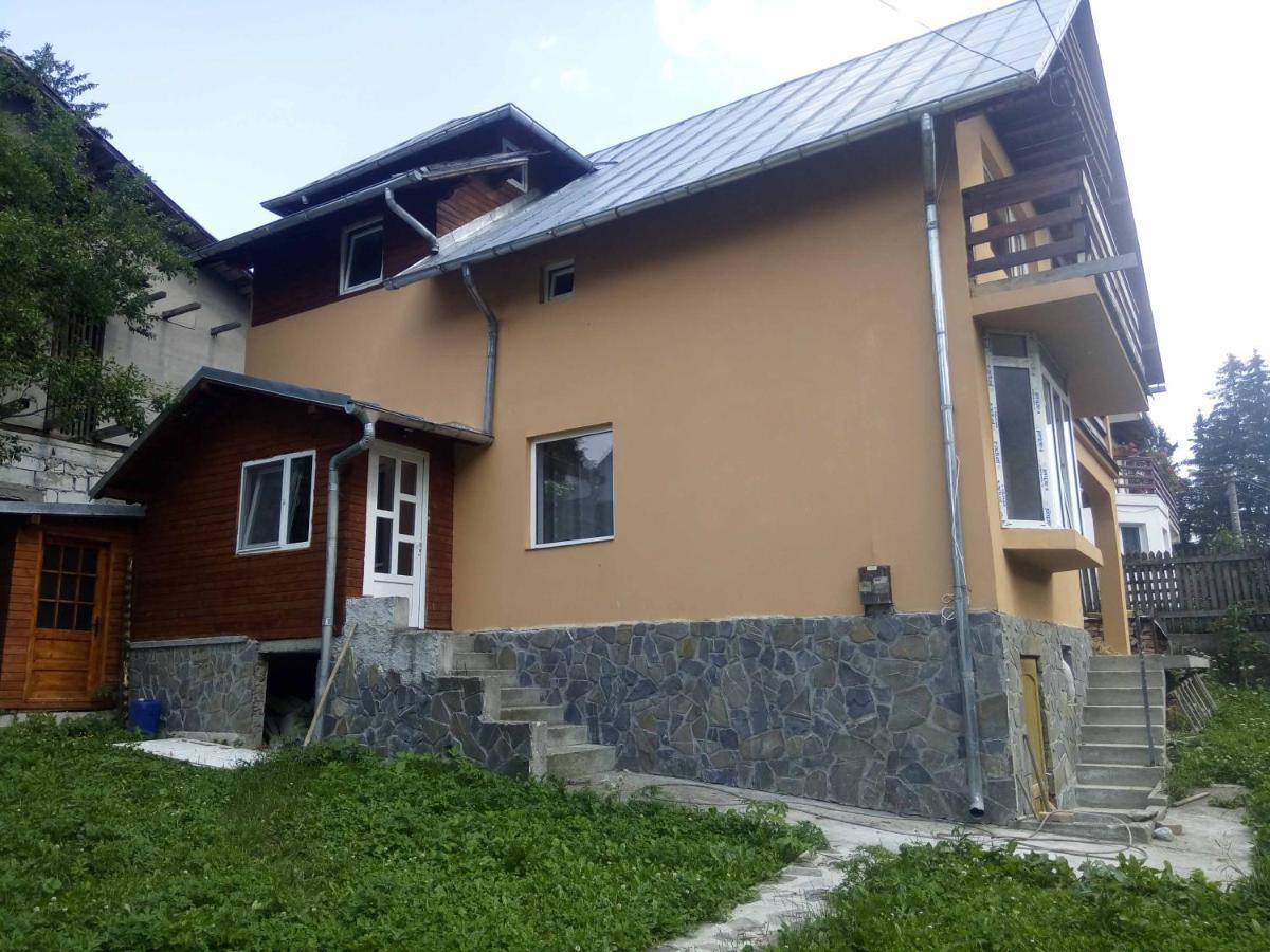 Casa Ddm Daniel Hotel Busteni Ngoại thất bức ảnh