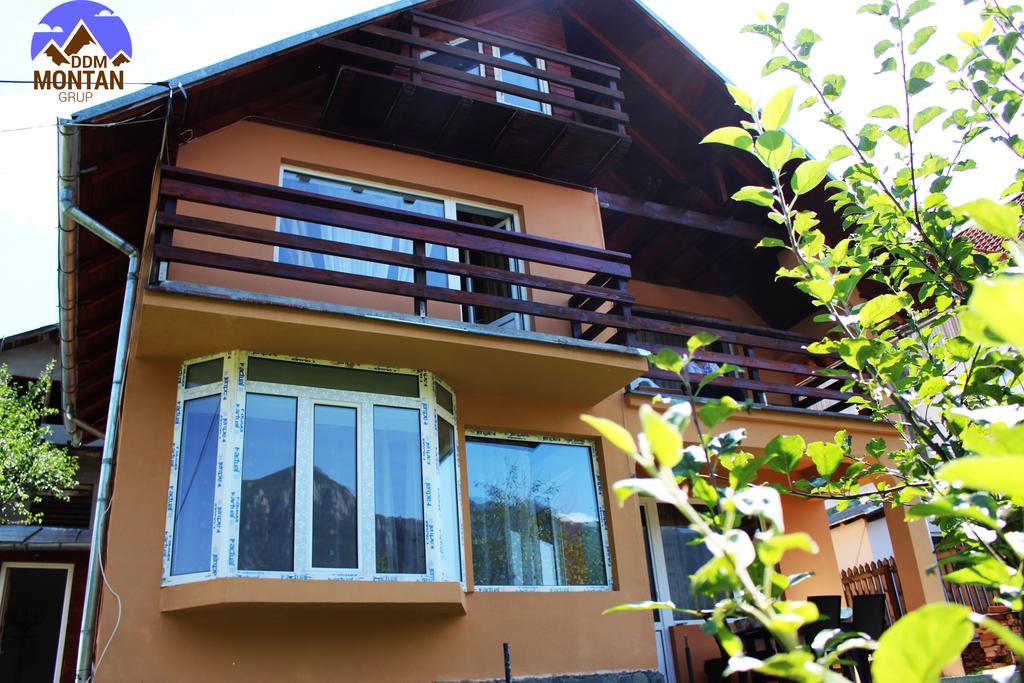 Casa Ddm Daniel Hotel Busteni Ngoại thất bức ảnh