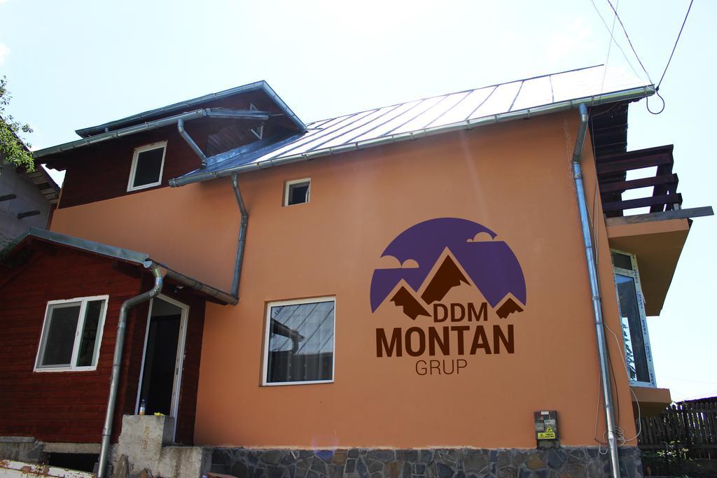 Casa Ddm Daniel Hotel Busteni Ngoại thất bức ảnh