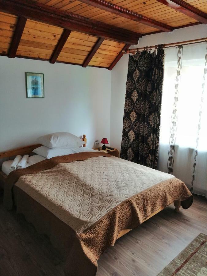Casa Ddm Daniel Hotel Busteni Ngoại thất bức ảnh
