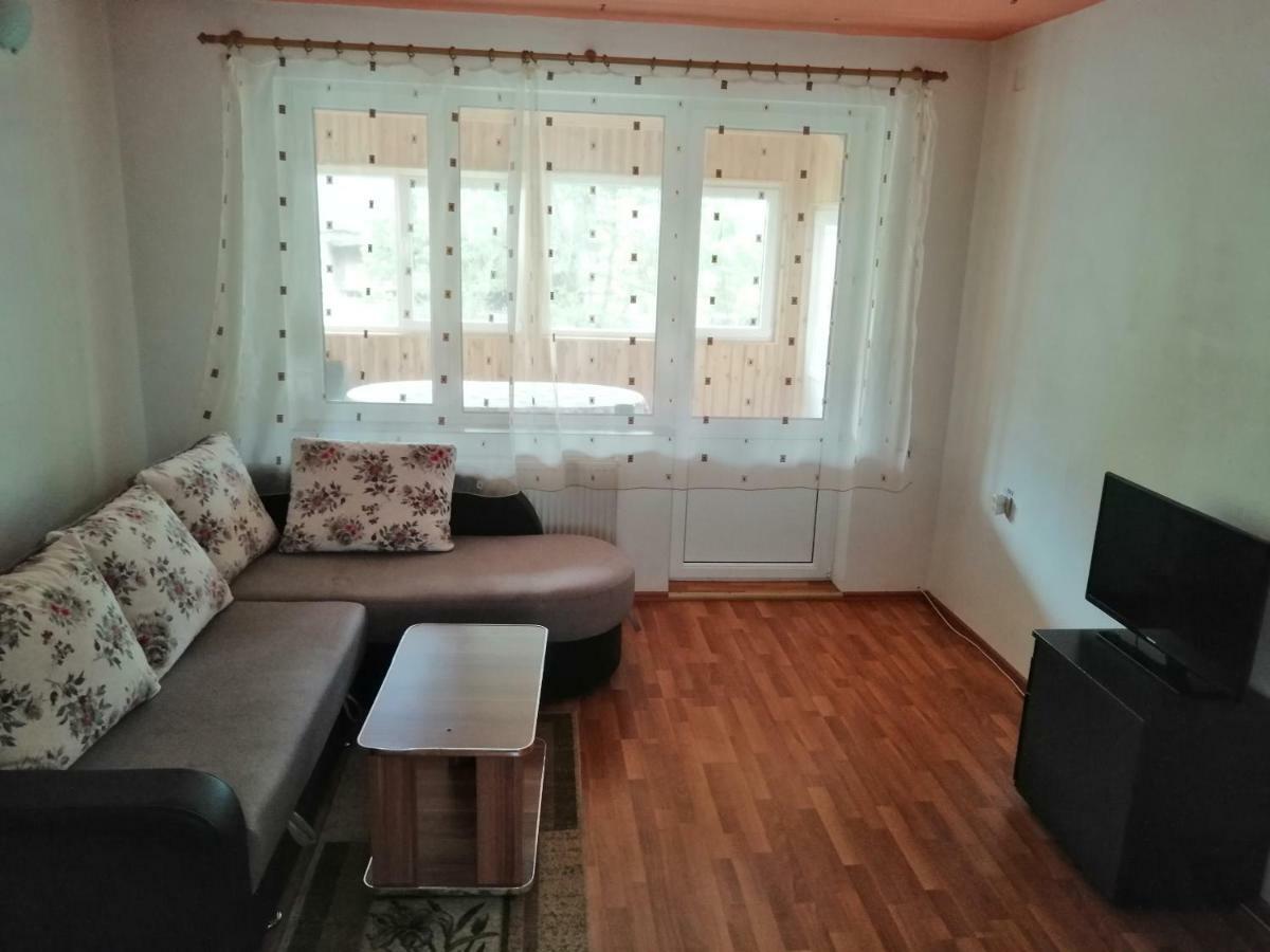 Casa Ddm Daniel Hotel Busteni Ngoại thất bức ảnh