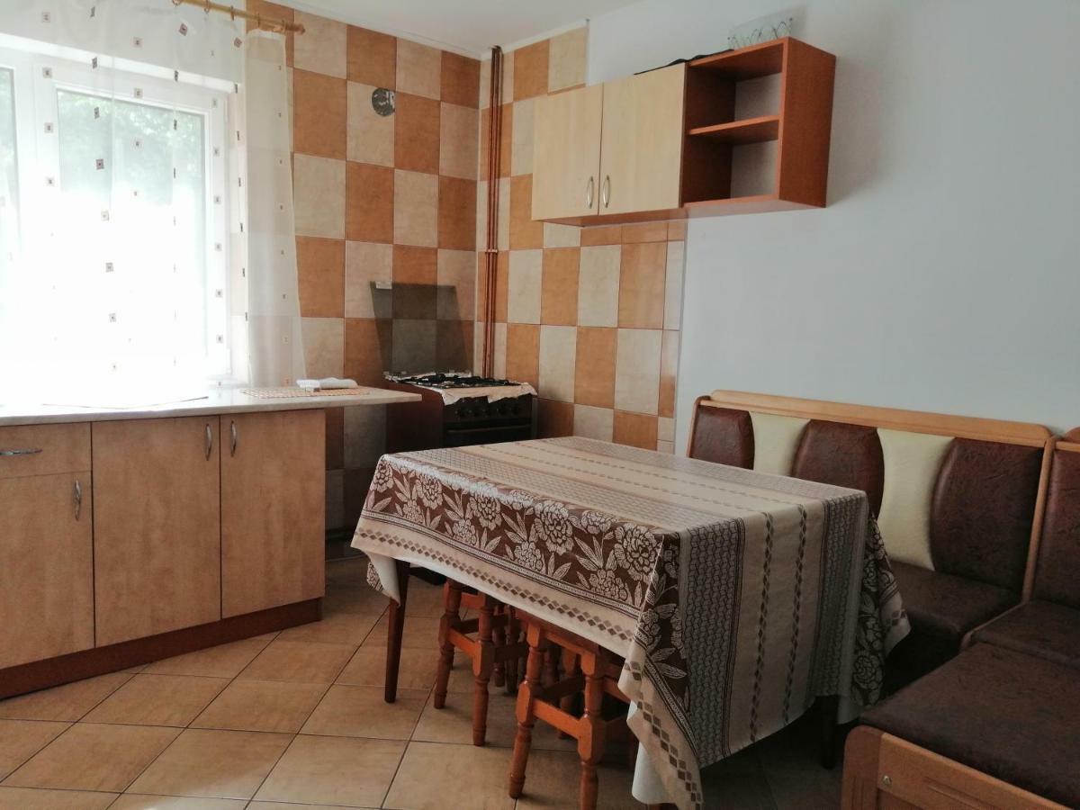 Casa Ddm Daniel Hotel Busteni Ngoại thất bức ảnh