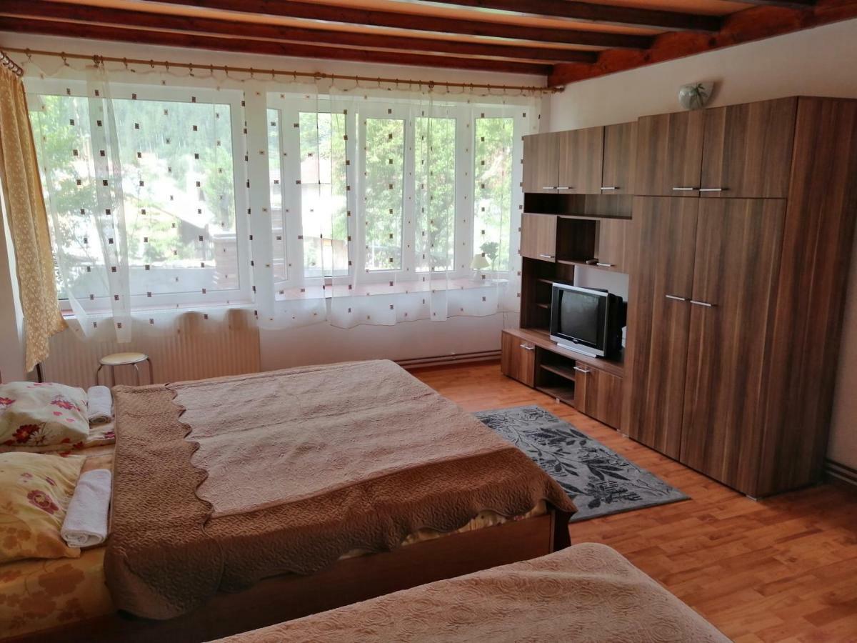 Casa Ddm Daniel Hotel Busteni Ngoại thất bức ảnh