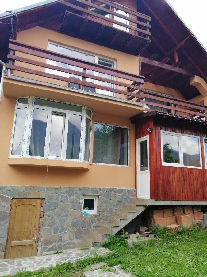 Casa Ddm Daniel Hotel Busteni Ngoại thất bức ảnh