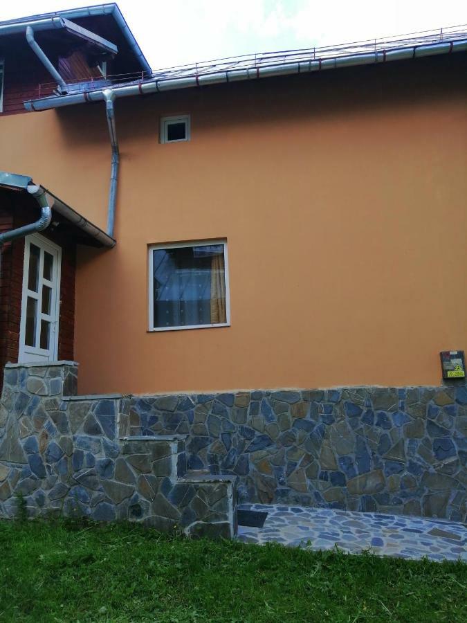 Casa Ddm Daniel Hotel Busteni Ngoại thất bức ảnh