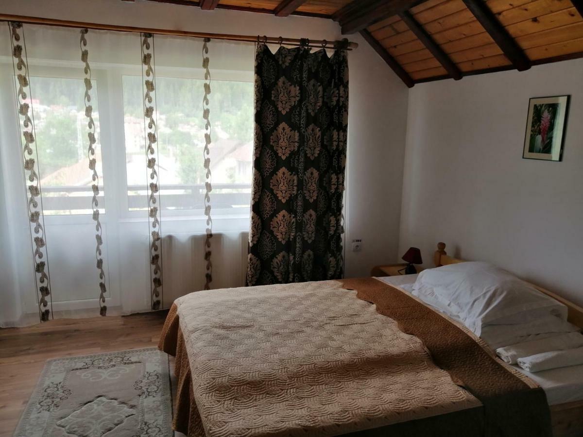 Casa Ddm Daniel Hotel Busteni Ngoại thất bức ảnh