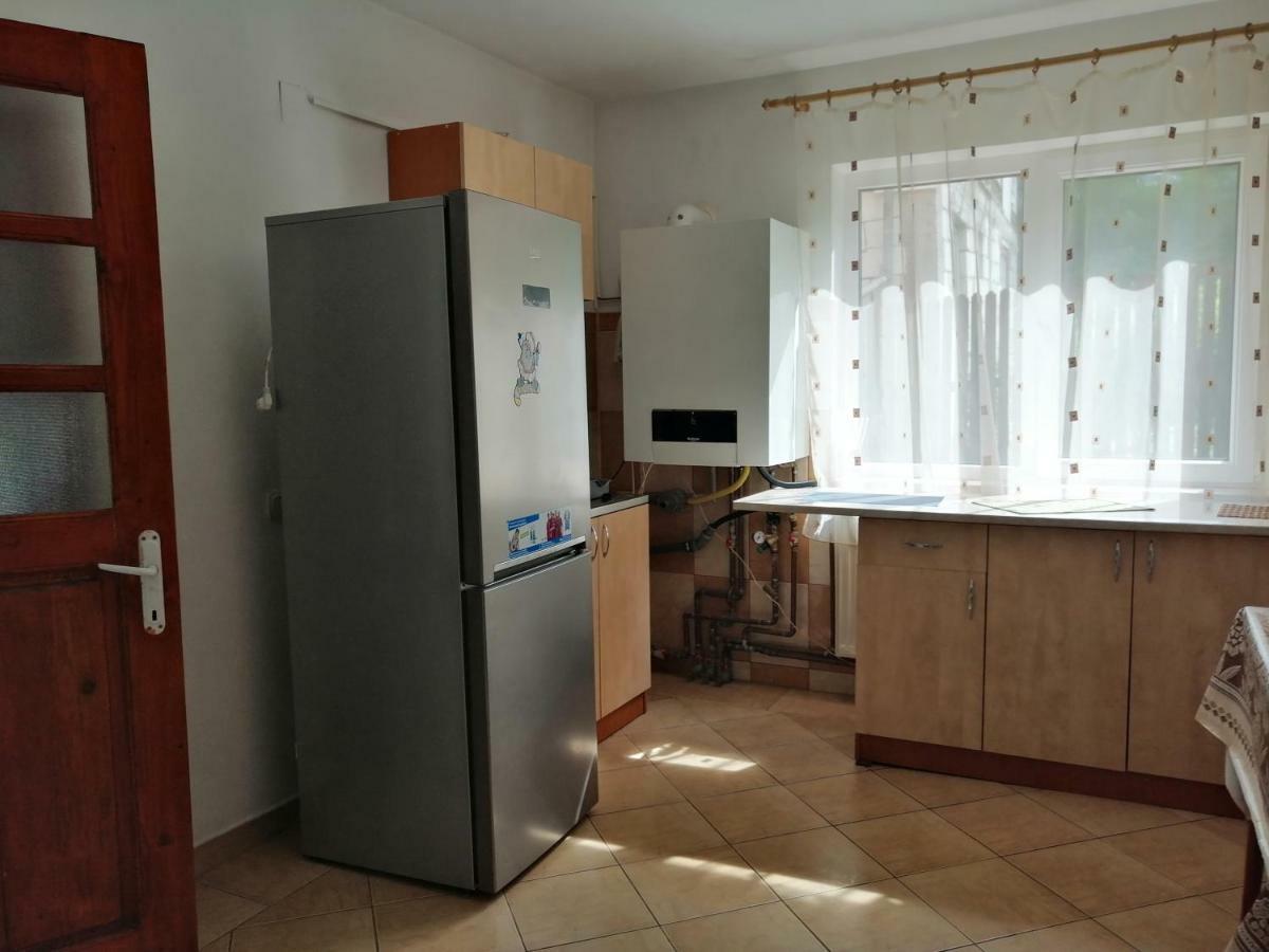 Casa Ddm Daniel Hotel Busteni Ngoại thất bức ảnh