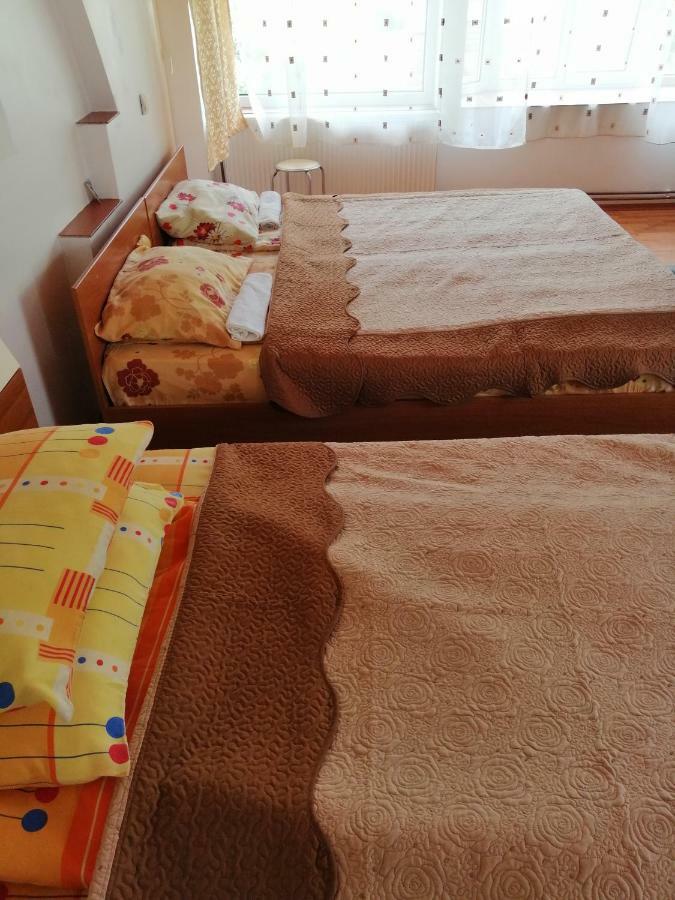 Casa Ddm Daniel Hotel Busteni Ngoại thất bức ảnh