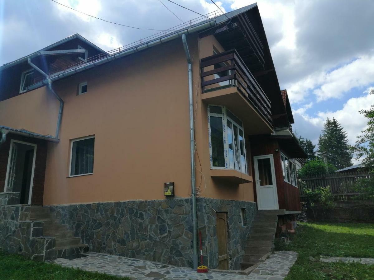 Casa Ddm Daniel Hotel Busteni Ngoại thất bức ảnh