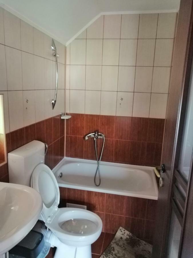 Casa Ddm Daniel Hotel Busteni Ngoại thất bức ảnh