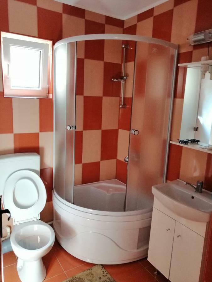 Casa Ddm Daniel Hotel Busteni Ngoại thất bức ảnh